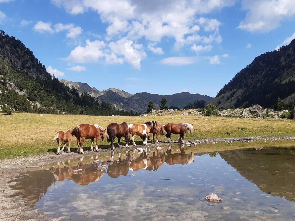 Studio Cosy Avec Balcon, Parking Et Coin Nuit Separe - 4 Couchages A Cauterets - Fr-1-234-249 Buitenkant foto